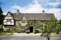 Old swan